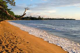 Kribi